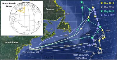 Seasonal and Spatial Variability in the Biogenic Production and Consumption of Volatile Organic Compounds (VOCs) by Marine Plankton in the North Atlantic Ocean